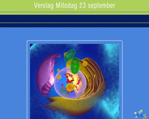 Kort verslag Mito bijeenkomst 23 september 2023
